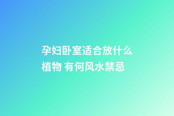 孕妇卧室适合放什么植物 有何风水禁忌